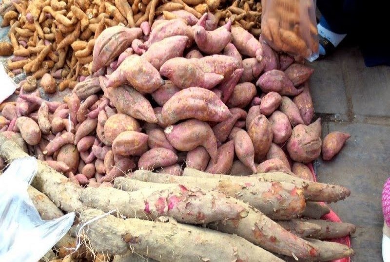 पोसिलो माघे संक्रान्तिः यस्ता छन् तरुल, सखरखण्ड, तिलको लड्डु र चाकुका औषधिय गुण, जानौँ