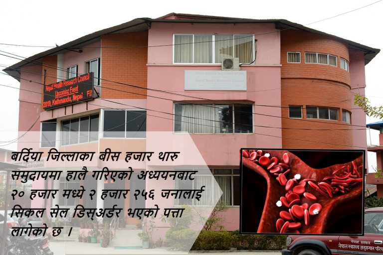 थारु समुदायमा सिकलसेल रोकिएन, सबै नागरिकको हेमोग्लोबिन डिस्अर्डर अनुमान गर्न सुझाव