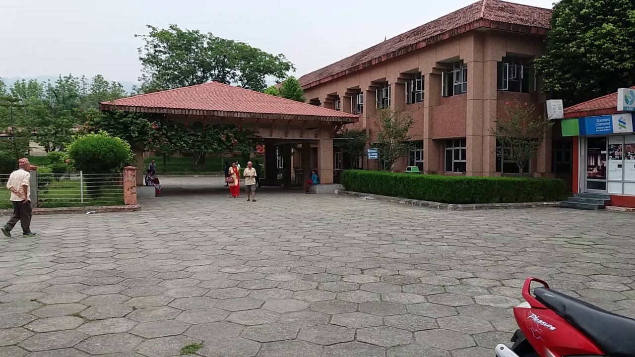 बीपी प्रतिष्ठानको आन्दोलनलाई सम्बोधन गर्न कांग्रेसको अपील