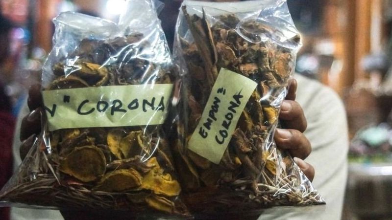 जडिबुटी र दूधबाट कोभिड निको हुने दाबी कती भरपर्दो ?