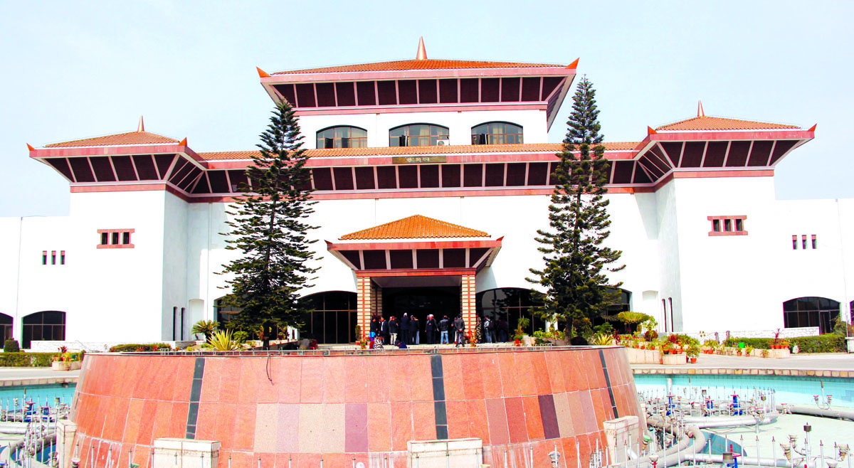 महामारीको रुपमा फैलिँदै गएको डेंगु रोग नियन्त्रणका लागि विशेष ध्यान दिन सरकारसँग माग