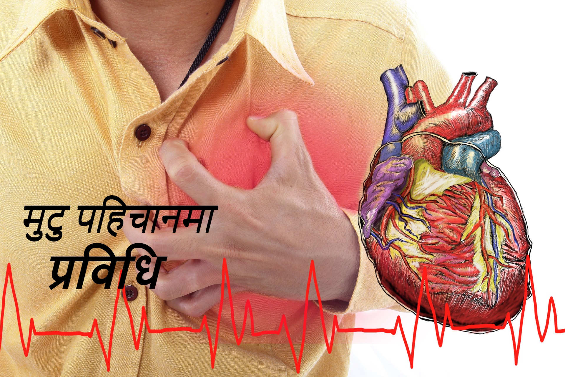 मुटु जाँचका आयाम