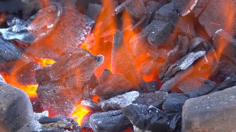 कोइलाले लियो ज्यानः अस्पतालको क्वार्टरमा निसास्सिएर एउटै परिवारका ४ जनाको मृत्यु, ३ जना घाइते