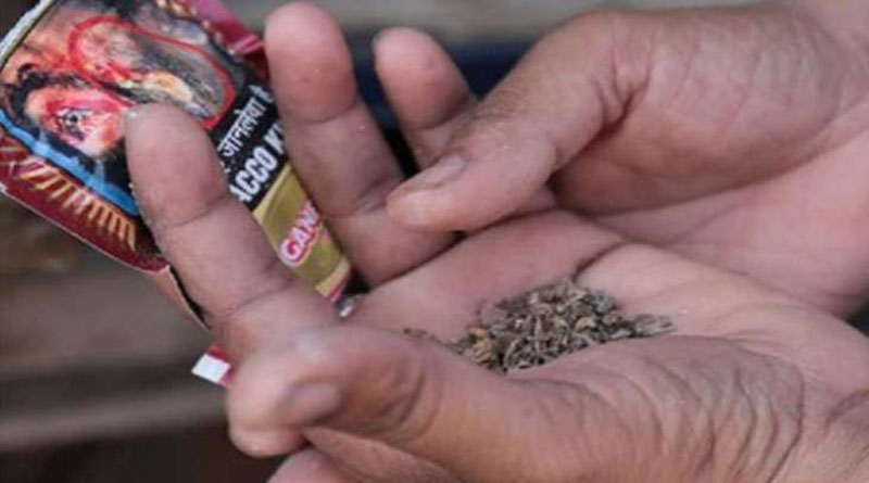 नौ महिनामा नेपालीले सेवन गरे १८ लाख किलो सुर्ती
