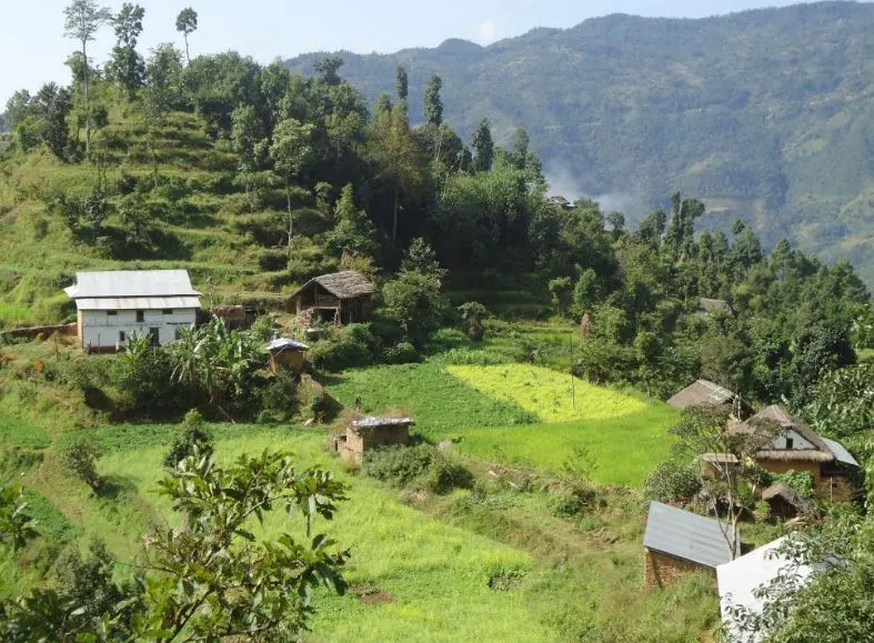 आधारभूत स्वास्थ्य सेवा लिन चार घण्टा हिँड्नुपर्ने बाद्यता