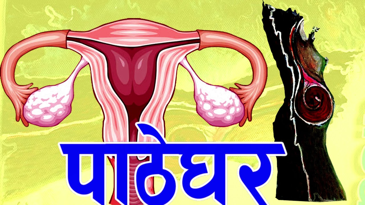 हात्तिगौडाका महिला तथा एकल महिलाहरुको स्तन क्यान्सर र पाठेघरको मुखको क्यान्सर परीक्षण