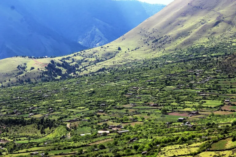 अब निसेलढोरमै स्वास्थ्य सेवा, स्थानिय दंग