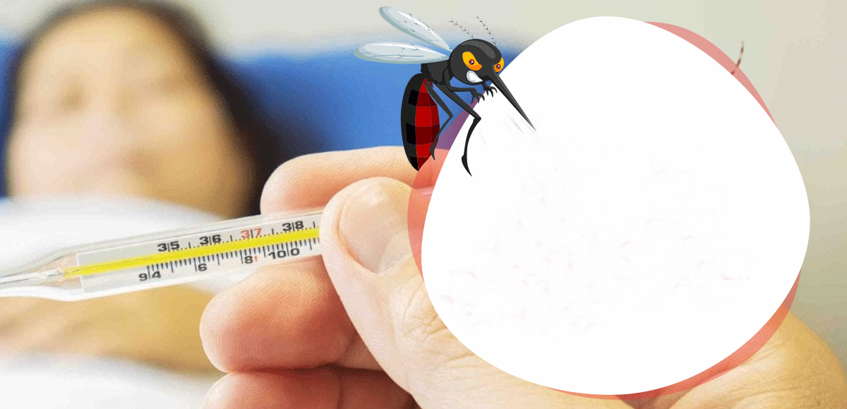 पूर्वी तराई सुनसरीमा अत्यधिक डेँगु संक्रमण, ३ जनाको मृत्य