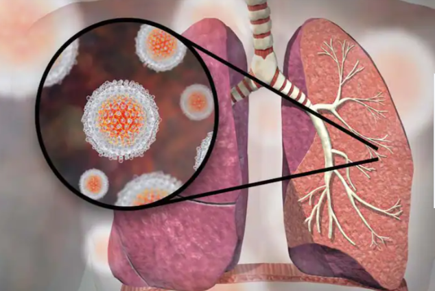 विश्व हेपाटाइटिस दिवस २०२३ : ‘वान लाइफ, वान लिभर’