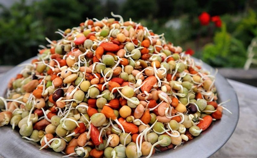 क्‍वाटी खानु भयो त ? यस्ता छन् क्वाँटीका फाइदा