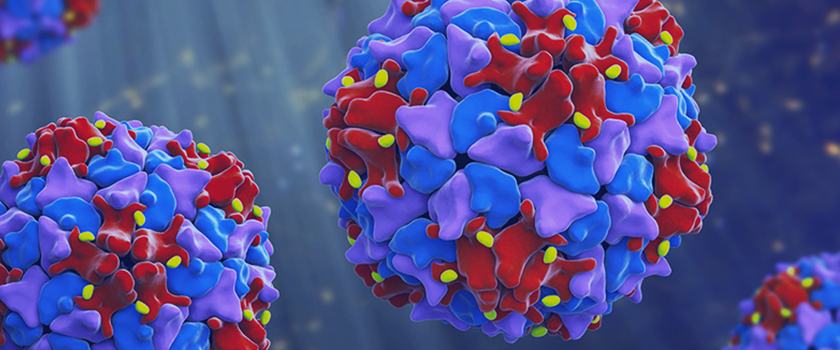 पाकिस्तानको वातावरणीय नमूनामा पत्ता लाग्यो थप तीनवटा विश्व व्यापी पोलियो भाइरस