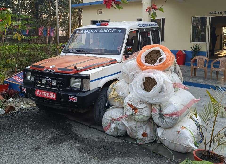 २७३ केजी गाँजा बोक्ने एम्बुलेन्स प्रहरीको नियन्त्रणमा