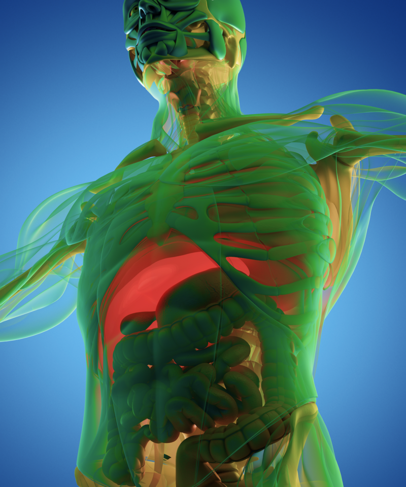 एक महिनासम्म १२ देखि १७ घण्टा लामो व्रत बस्दा शरीरमा कस्तो असर देखिन सक्छ ?