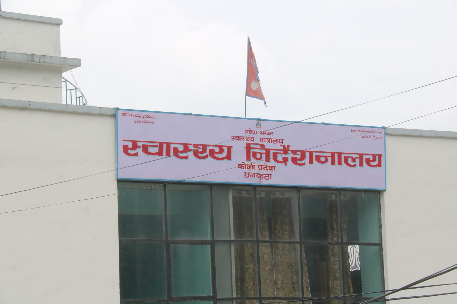 कोशी प्रदेशमा ३८ हजार ३ सय ८४ जनामा डेंगीको संक्रमण