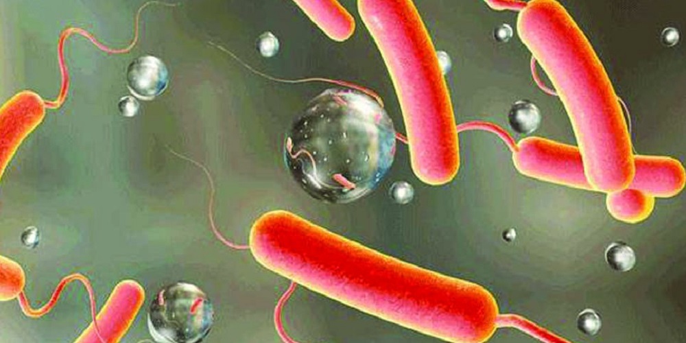 देशभर ६७ जनामा हैजा पुष्टि, कुन जिल्लामा कति ?