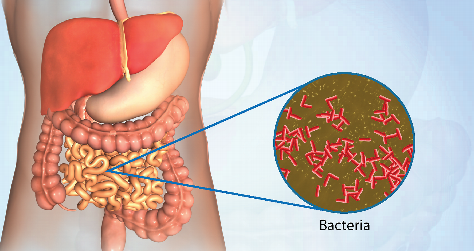 हैजाः कारण, लक्षण र बच्ने उपाय