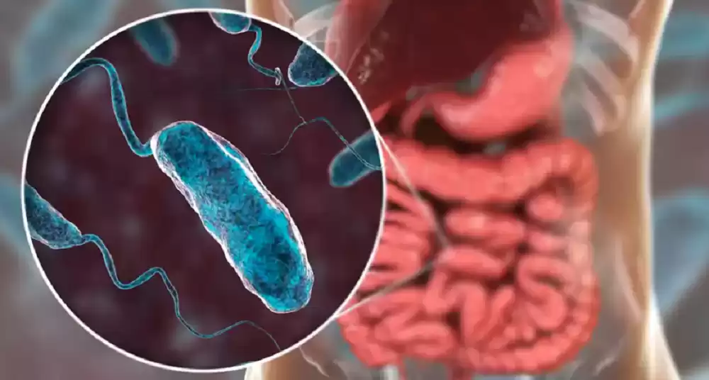 बाँकेको नरैनापुरमा फैलियो झाडा पखालाः एकैदिन चार जनाको मृत्यु, १० जना बिरामी