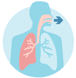 Image of God - Doctors