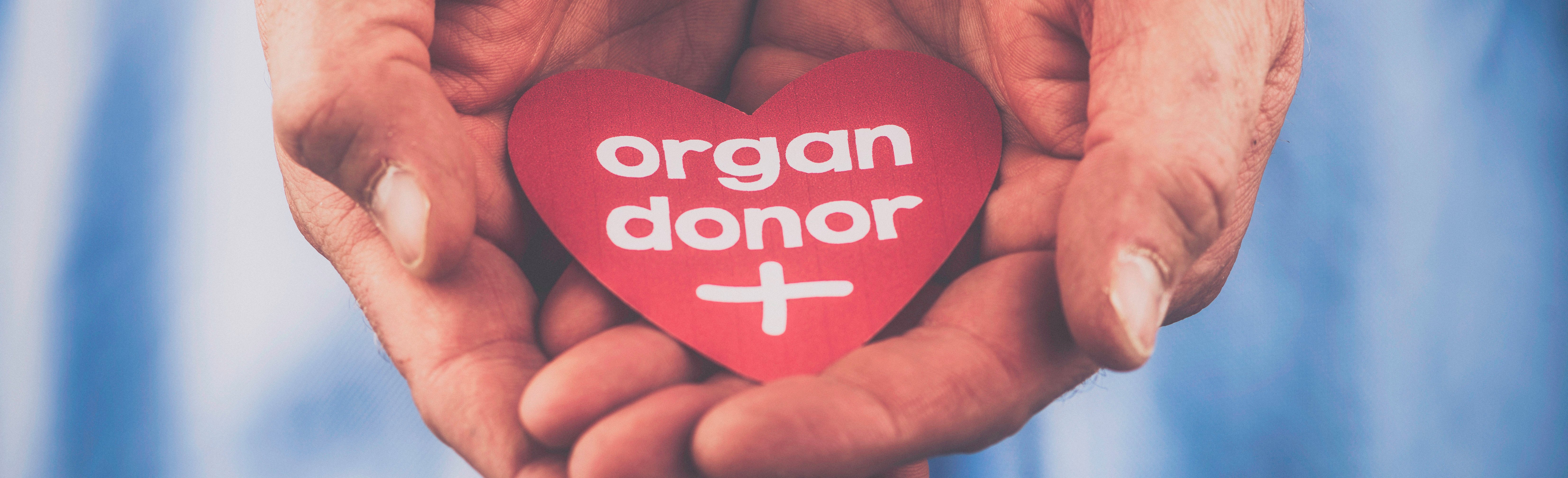 शनिबारदेखि अङ्ग प्रत्यारोपणसम्बन्धी अन्तर्राष्ट्रिय सम्मेलन हुने