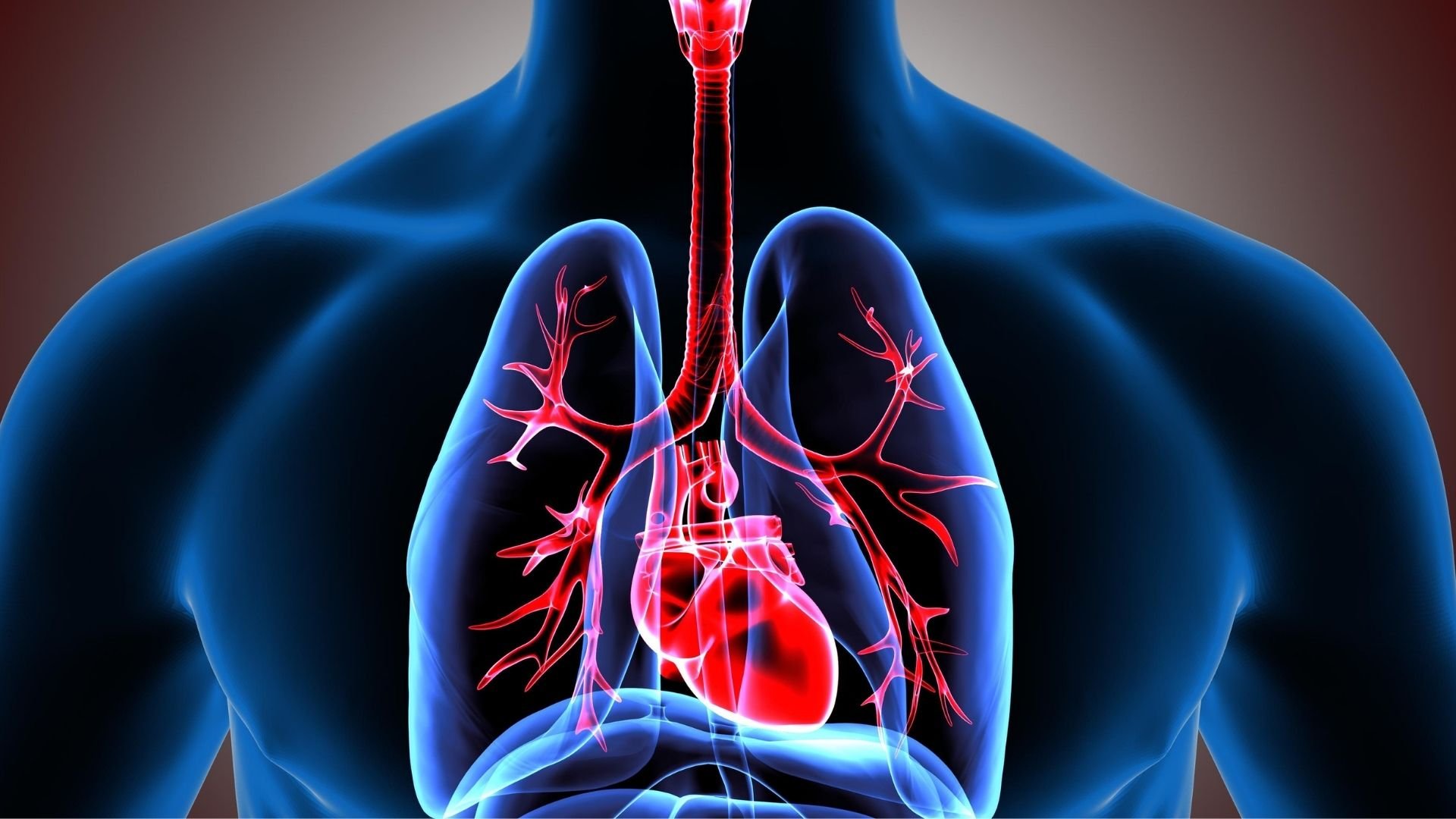 फोक्सो स्वास्थ्यको हेरचाह कसरी राख्ने ? जानौँ