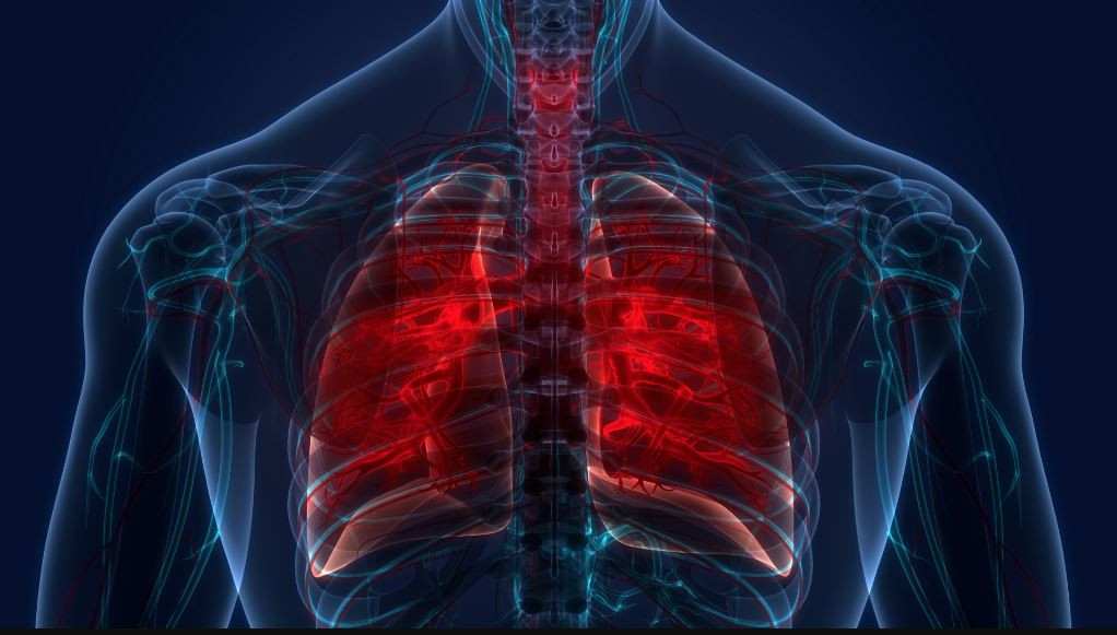 के कारणले लाग्छ क्षयरोग ? यस्ता छन् ५ कारण