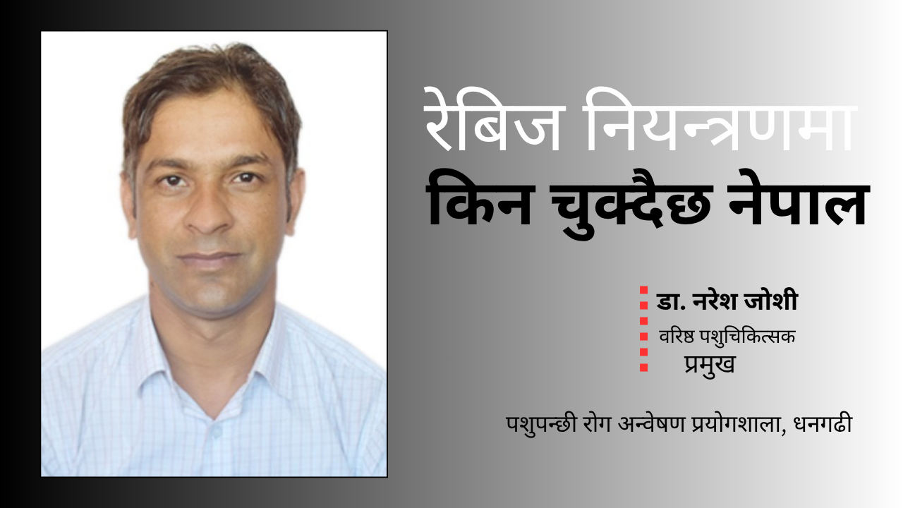 रेबिज नियन्त्रणमा किन चुक्दैछ नेपाल 