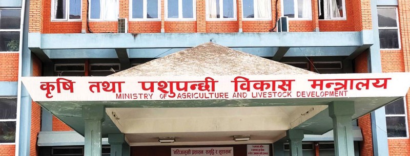 ‘अफ्रिकन स्वाइनफिभर’को जोखिम बढेपछि उच्च सतर्कता अपनाउन आग्रह