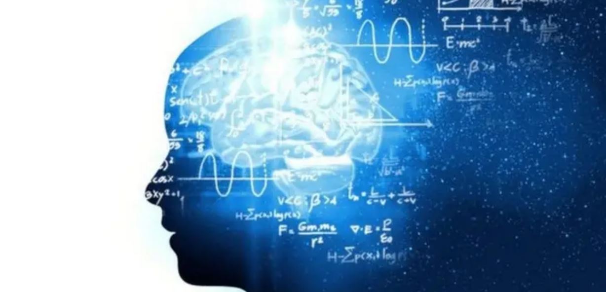 मानव मस्तिष्क विकासका पाँच चरण: शिशुदेखि बुढ्यौलीसम्म मस्तिष्क कसरी बद्लिन्छ ?