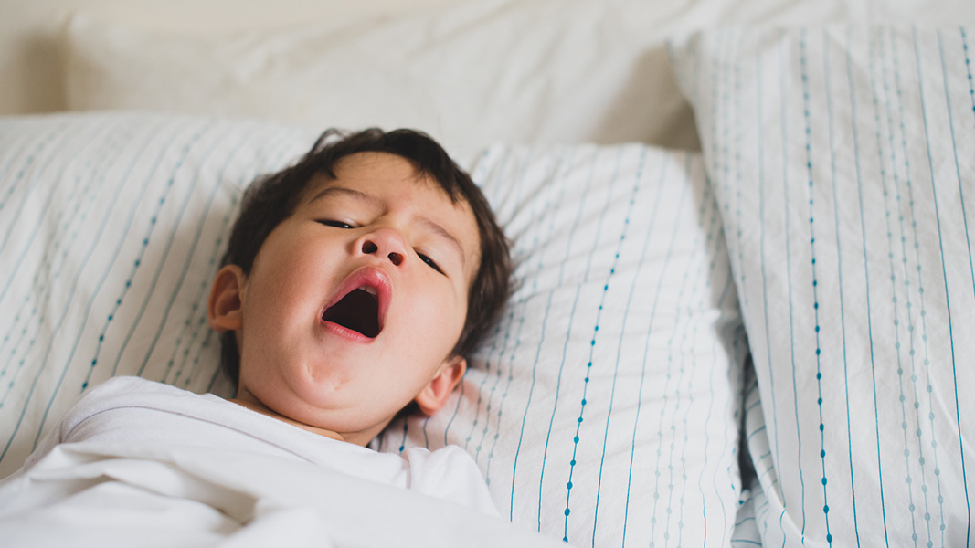 यी आश्चर्यजनक खानेकुरा जसले राम्रो निद्रा लगाउँछन्