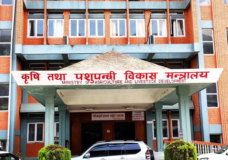 पशुमा लम्पी स्किन र स्वाइन फ्लु देखिएपछि संक्रमित क्षेत्रतर्फ सरकारी टोली परिचालन