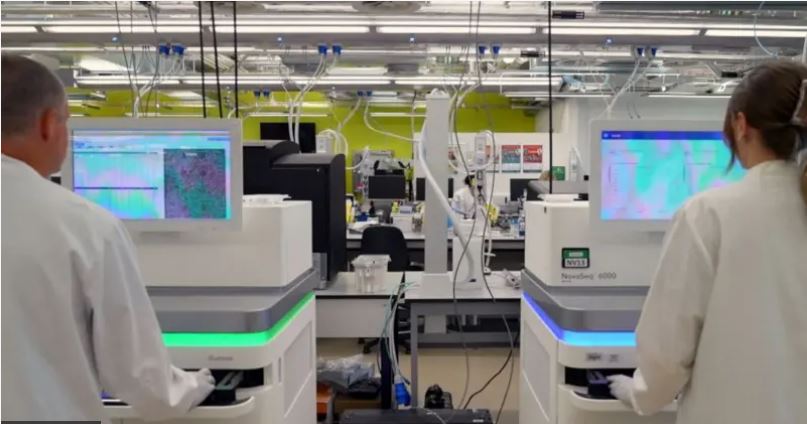 मानव डीएनए निर्माणमा विश्वकै पहिलो कदम: वैज्ञानिक अनुसन्धान सुरु