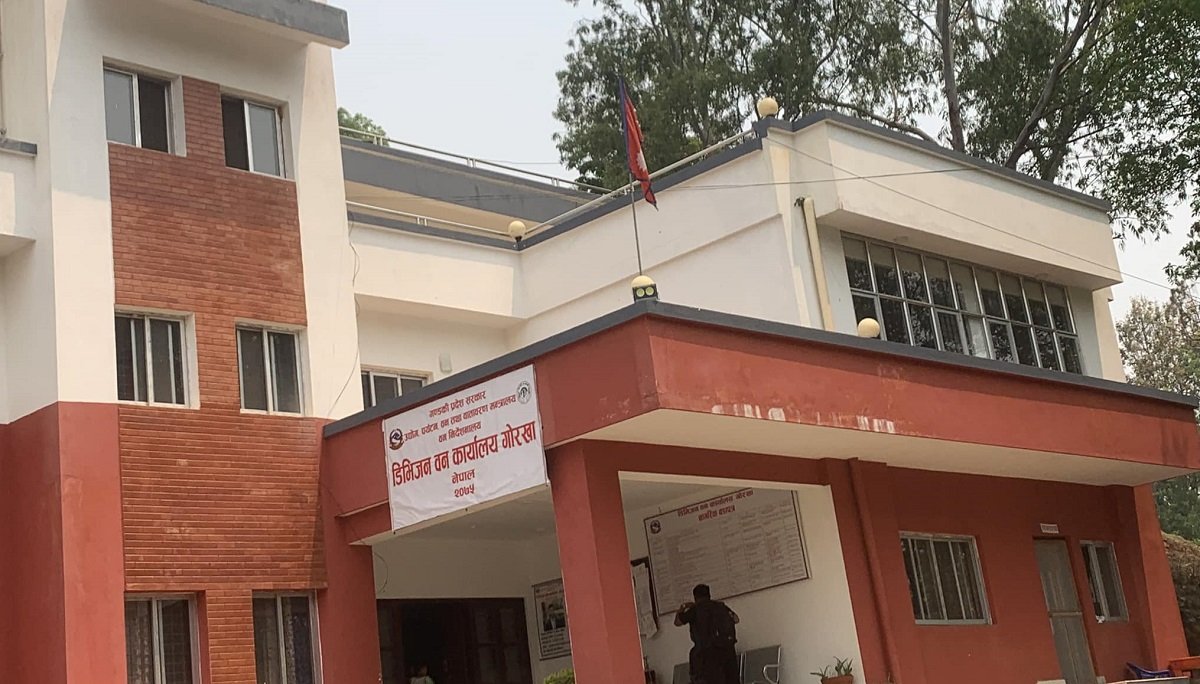 गोरखामा जडीबुटीबाट  २० लाख राजस्व सङ्कलन