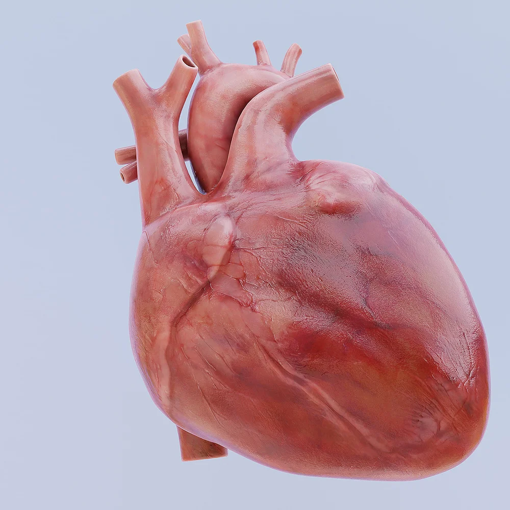 मुटुकाे चिन्ता छ भने बिदाकाे दिन नसुत्नुस् धेरै !