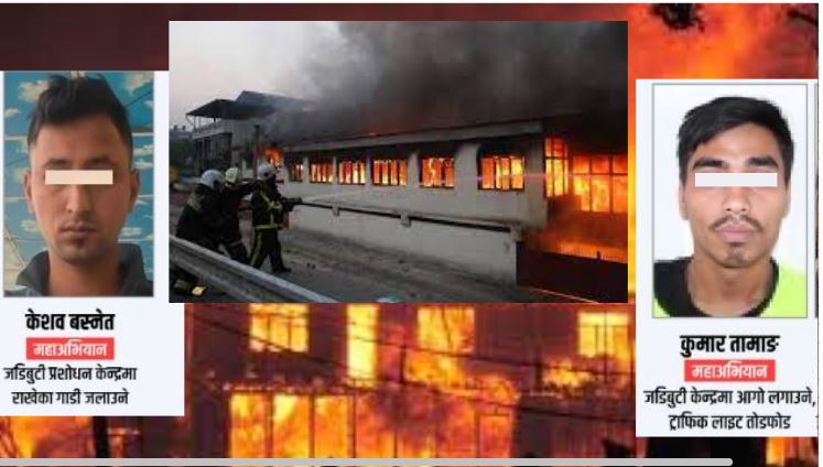 These are the accused who set fire to the herbal processing center