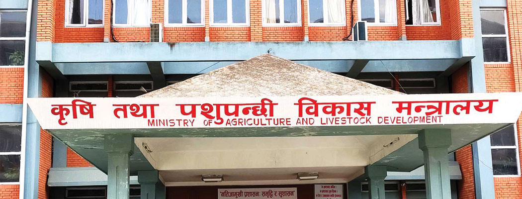 ‘अफ्रिकन स्वाइनफिभर’को जोखिम बढेपछि उच्च सतर्कता अपनाउन आग्रह