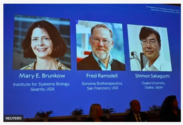 ‘रेग्युलेटरी टी–सेल’ खोज गर्ने तीन वैज्ञानिकलाई २०२५ को चिकित्साशास्त्रतर्फको नोबेल पुरस्कार