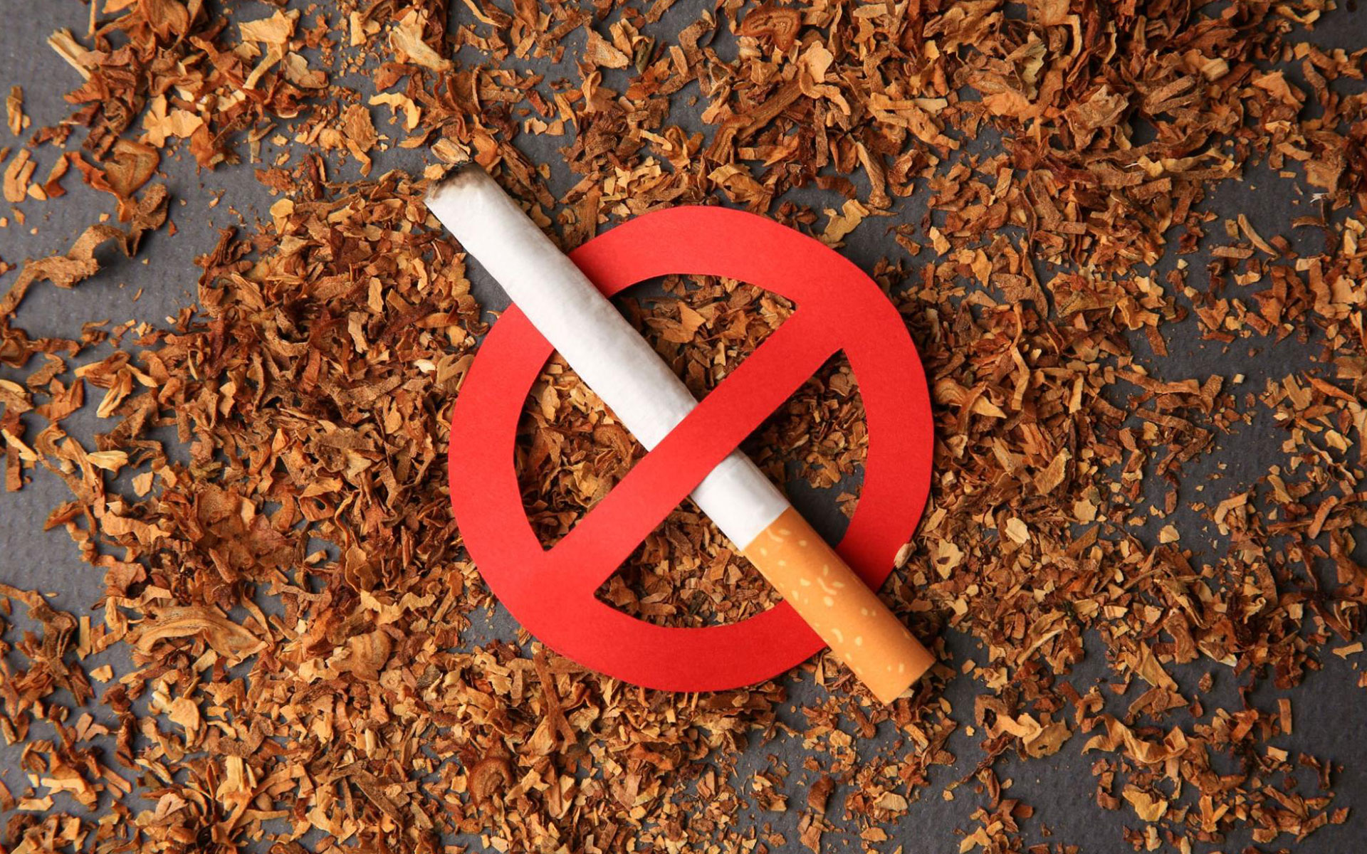 सन् २००७ पछि जन्मिएका सबैका लागि सुर्ती ‘नो एण्ट्री’