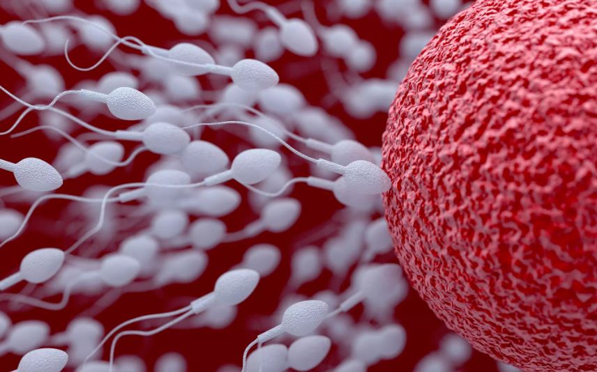 The new standards have created confusion among IVF service providers, posing challenges in terms of technical manpower and infrastructure