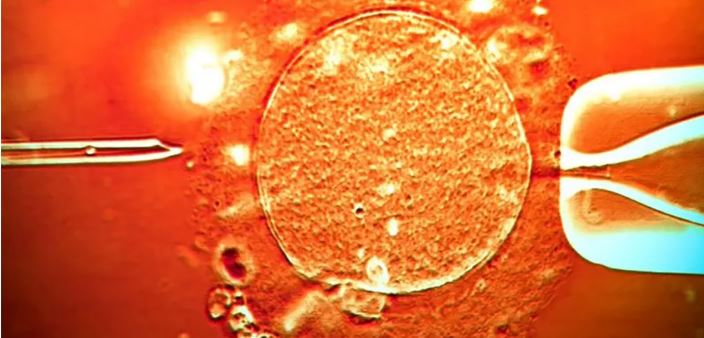 वीर्यदातामा क्यान्सरको जोखिम बढाउने जीन भेटिएपछि युरोपमा तरंग