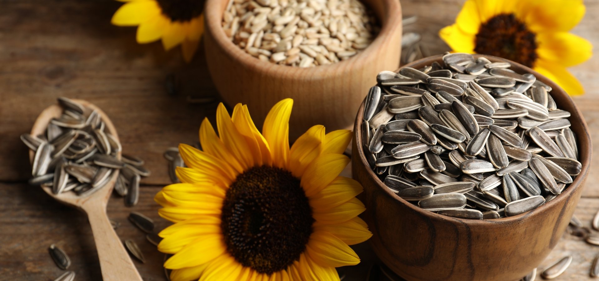 sunflower-seeds-1749974531.jpg